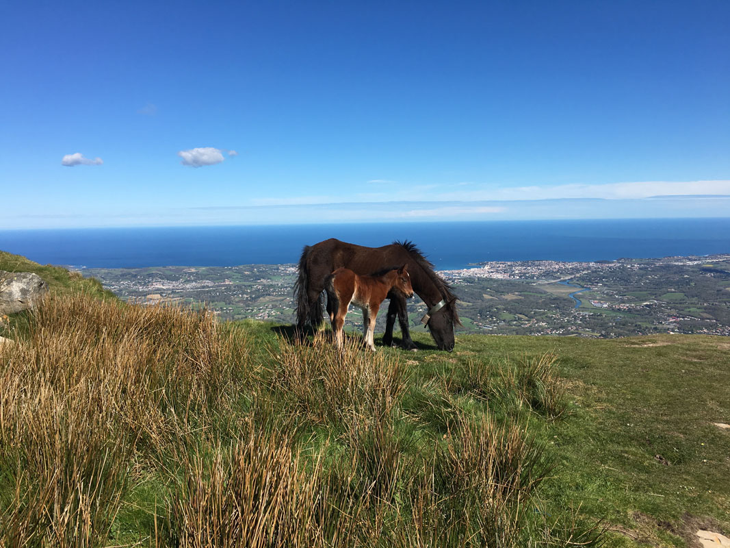 massif de la rhune